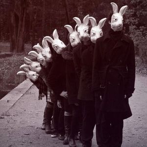 Meet your Posher, Ali